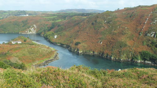 High angle view of trees by calm river