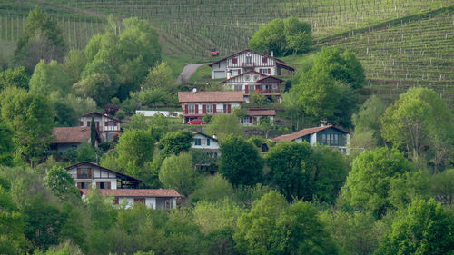 Houses by trees and buildings