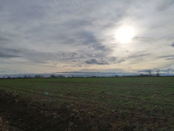 Scenic view of field against sky