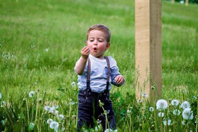 Boy standing on grass