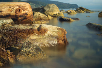 Close-up of rocks on sea shore