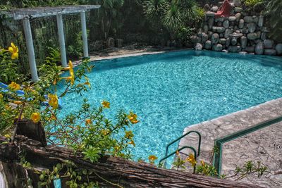 Swimming pool by trees against sky