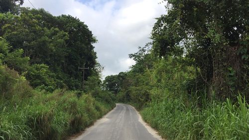 Road amidst trees against sky