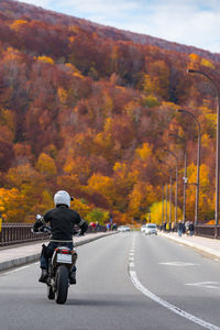 Rear view of man riding motorcycle on bright against autumn trees