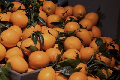 Close-up of fruits in market