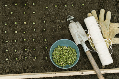 High angle view of food on table