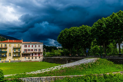 Trees and buildings against sky