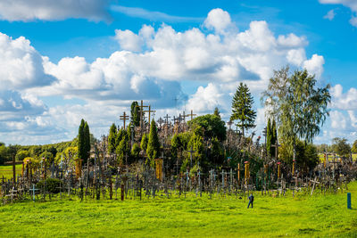 Panoramic shot of trees on field against sky