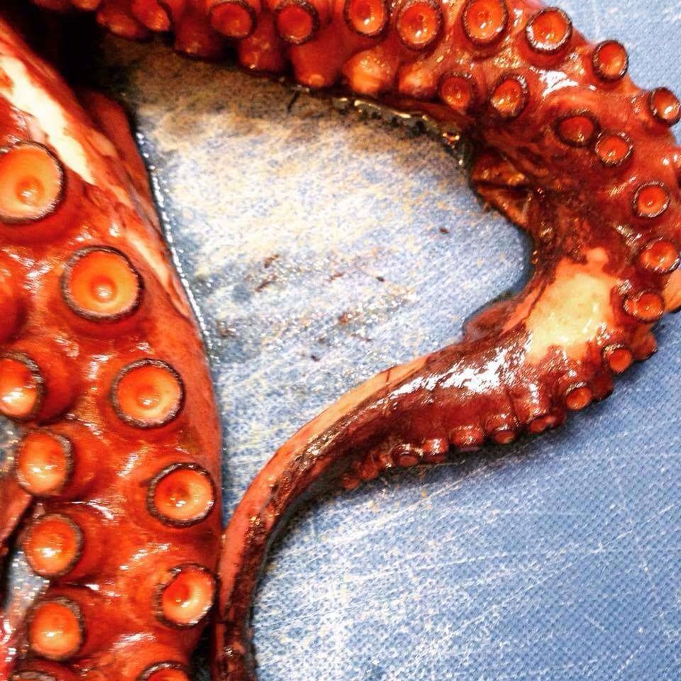 CLOSE-UP OF RED OBJECT ON TABLE