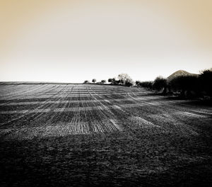 Scenic view of field against clear sky