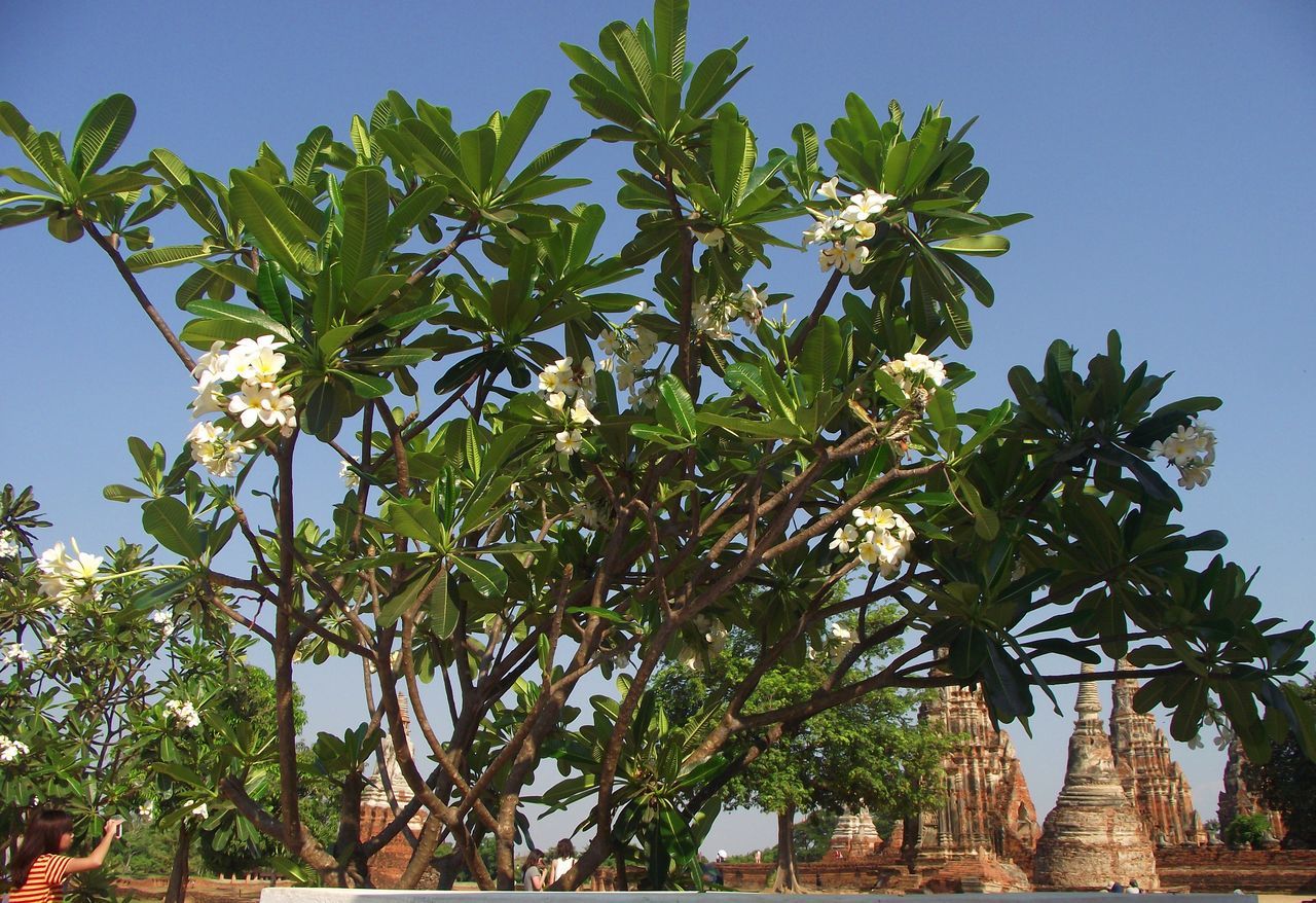 Wat Chaiwatthanaram