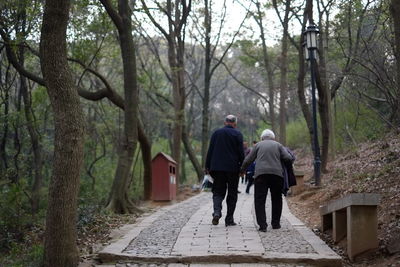 Rear view of people walking in forest