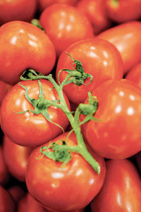 Full frame shot of tomatoes for sale