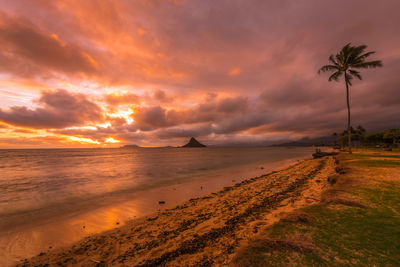 Scenic view of beach against sky during sunset