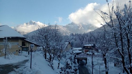 snow