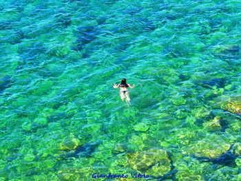 High angle view of man swimming in sea