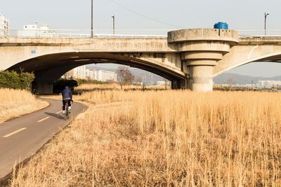 Rear view of man walking on road against bridge