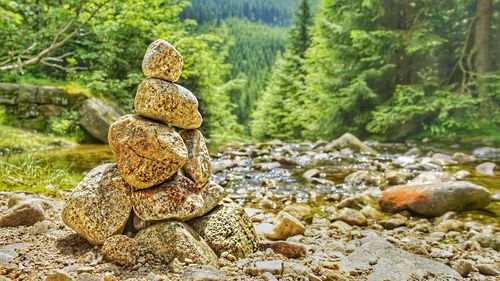 Rocks sitting on rock in forest