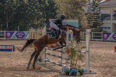 Man riding horse on field