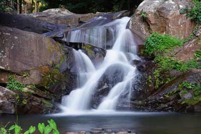 Scenic view of waterfall in forest