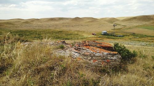 Scenic view of field against sky