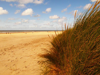 Scenic view of beach against cloudy sky