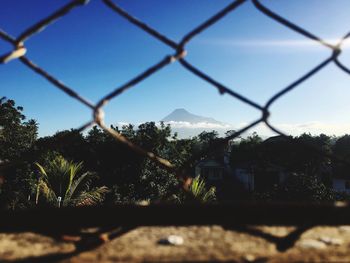 Trees and houses against sky seen through chainlink fence