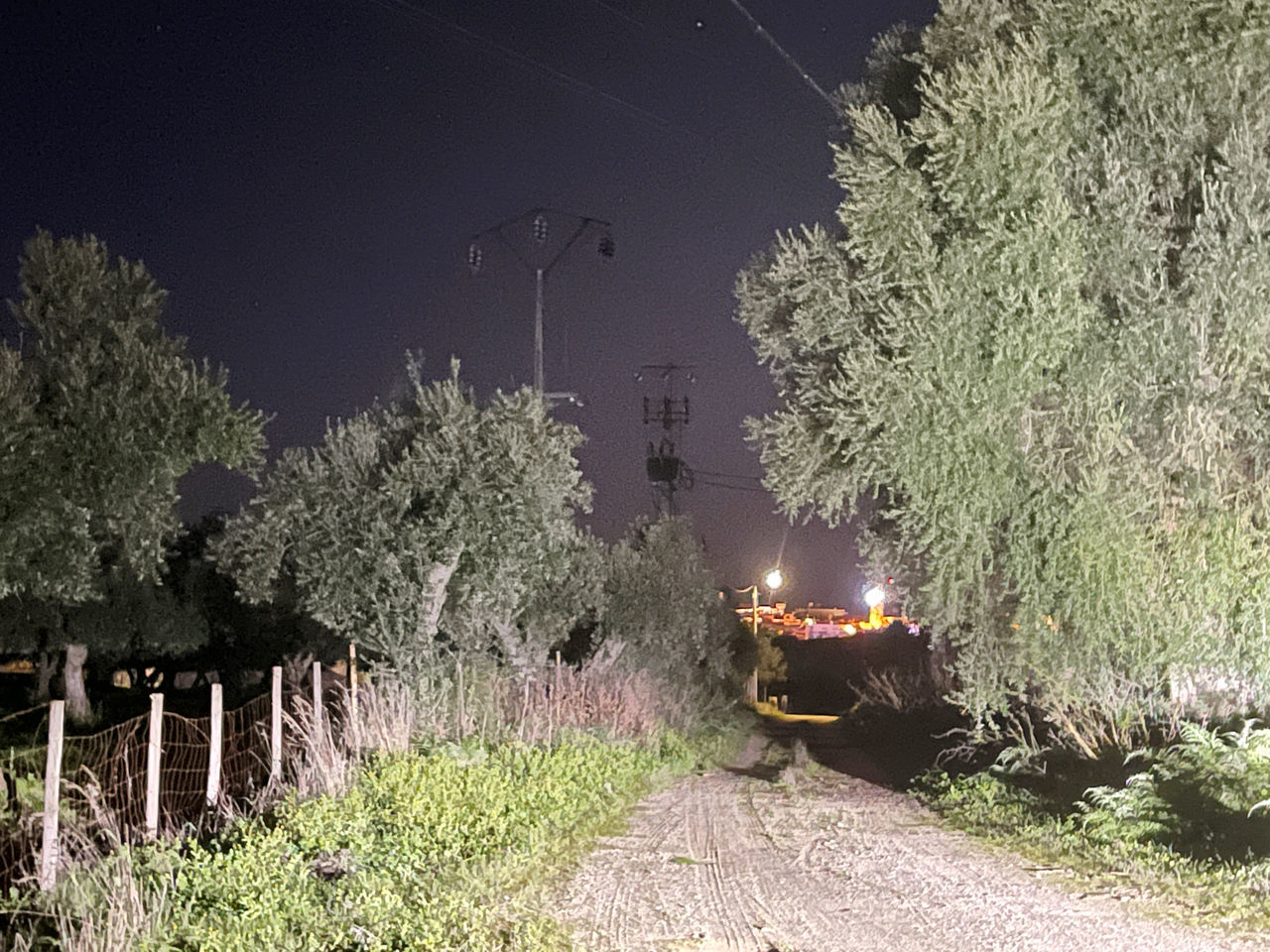 ILLUMINATED RAILROAD TRACKS AMIDST PLANTS AT NIGHT