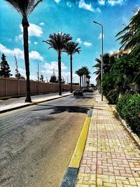 Sidewalk by palm trees against sky in city