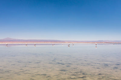 Scenic view of sea against blue sky