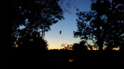 Silhouette of trees against sky at sunset