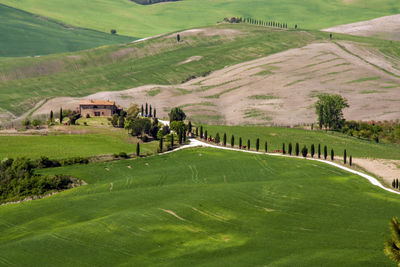 Scenic view of green landscape and houses