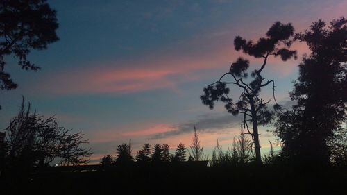 Silhouette of trees against sky at sunset