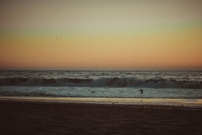 Scenic view of beach against sky during sunset