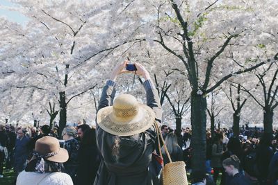 Crowd photographing cherry blossom trees