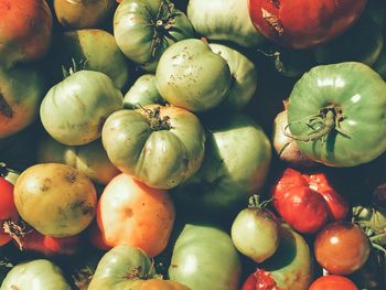 Full frame shot of pumpkins