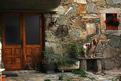 Entrance of a building