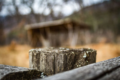 Close-up of tree stump by fence