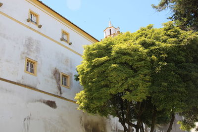 Low angle view of building