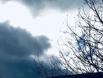 Low angle view of silhouette bare tree against sky