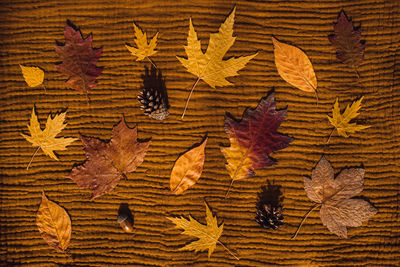 Full frame shot of wooden floor