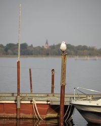 Sailboats moored in sea against sky