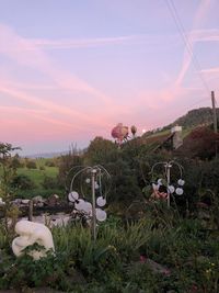 Scenic view of field against sky during sunset