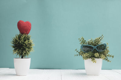 Close-up of potted plant on table against wall