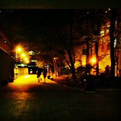 Illuminated street light at night