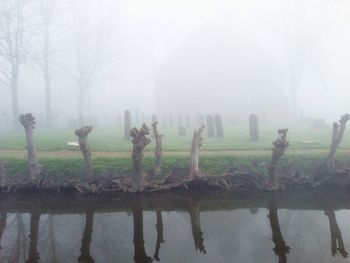 Trees on landscape against sky during foggy weather