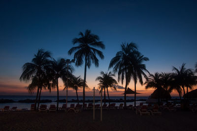 Palm trees on beach against sky