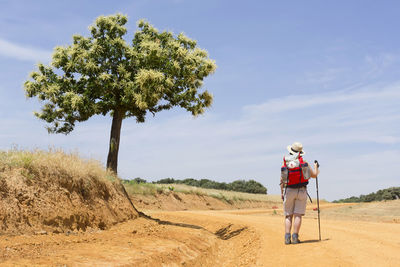 Rear view of hiker in hat with backpack walking on dirt road against sky during sunny day