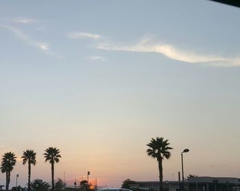 Silhouette of palm trees at sunset