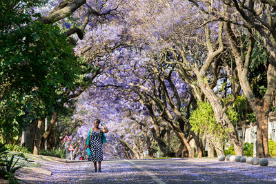 Rear view of woman walking amidst trees in park